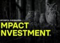 Impact investment: Purpose in fundraising