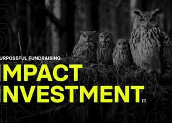 Impact investment: Purpose in fundraising