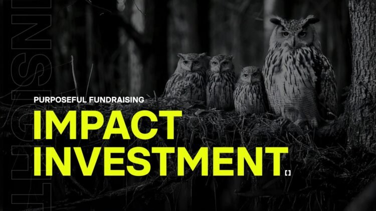 Impact investment: Purpose in fundraising