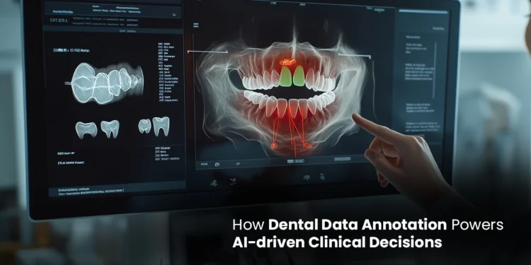 How Dental Data Annotation Powers AI-driven Clinical Decisions