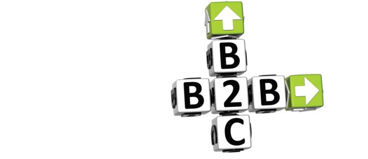 Respecting the Divide: The Critical Distinctions Between B2C and B2B Loyalty