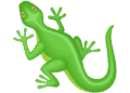 Sweat Wallet GeckoTerminal Quiz Answers