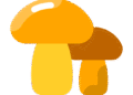 Grow a Garden Autumn Shroom Wiki