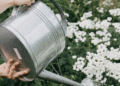 11 Ways to Boost Instagram Engagement in 2025 — Tried + Tested