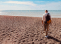 How Remote Workers at Buffer Choose Their Gear