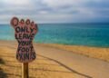 7 Keys To Crafting Sustainability Stories