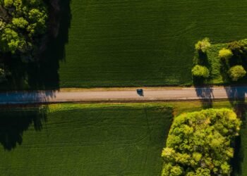 Expert tips: Is green tech ready for mass adoption?