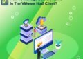How to Manage ESXi 8.0 Roles in the VMware Host Client?
