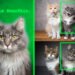 Method teaches generative AI models to locate personalized objects | MIT News