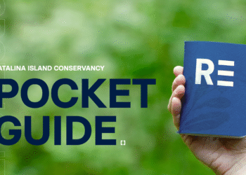 How do you make a campaign pocket guide feel like an adventure?