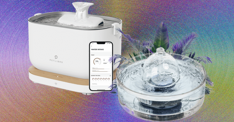 8 Best Cat Water Fountains, WIRED Tested and Reviewed (2025)