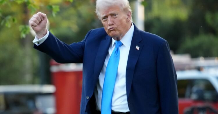 How should Democrats fight Trump’s war on democracy?