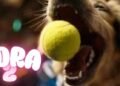 How OpenAI’s Sora 2 Is Transforming Toy Design into Moving Dreams