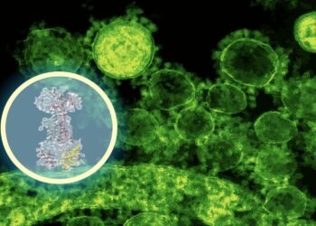 AI maps how a new antibiotic targets gut bacteria | MIT News