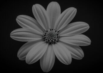 Ten Lenses for Campaign Naming: A Free Download