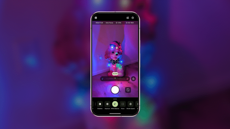 How to use Google Pixel Camera pro settings for holiday and winter photos