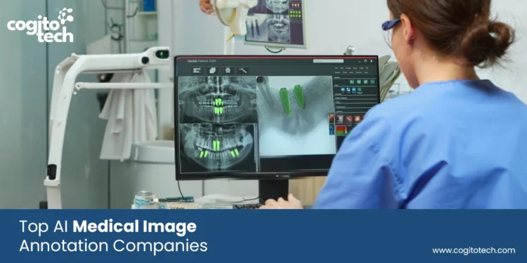 Top AI Medical Image Annotation Companies 2026