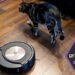 The best robot vacuum for 2025