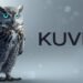 How Kuvi.ai Is Bringing ‘Agentic Finance’ to the Masses