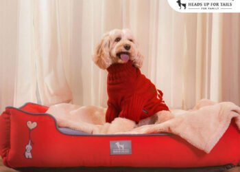 Winter Warmth for Pets, Crafted by Heads Up For Tails