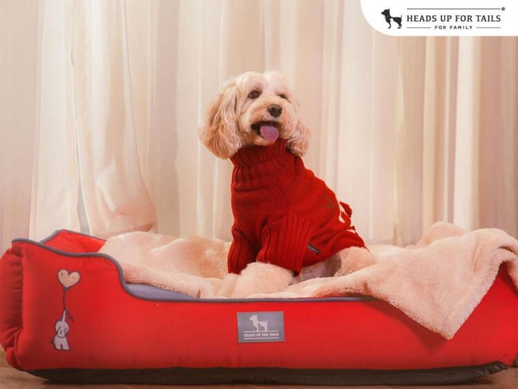 Winter Warmth for Pets, Crafted by Heads Up For Tails