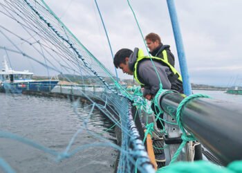 MIT Sea Grant students explore the intersection of technology and offshore aquaculture in Norway | MIT News