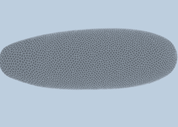 Deep-learning model predicts how fruit flies form, cell by cell | MIT News