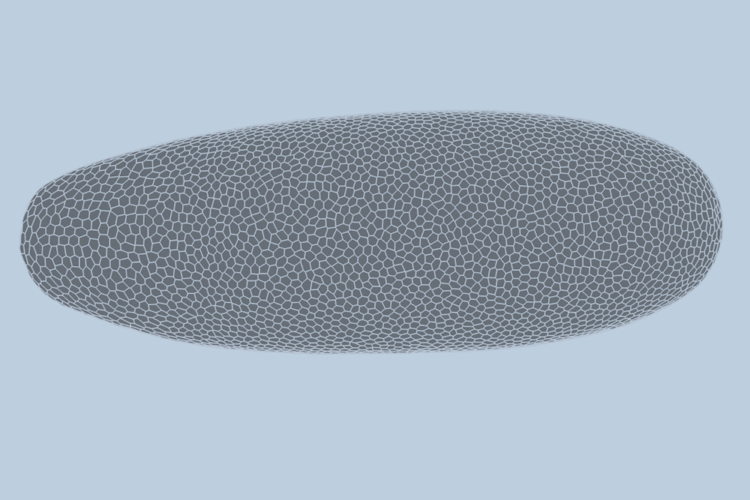 Deep-learning model predicts how fruit flies form, cell by cell | MIT News