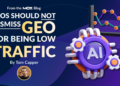 SEOs Should Not Dismiss Geo for Being Low-Traffic