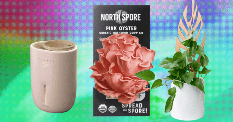 The 17 Best Gifts for Plant Lovers We’d Buy Ourselves (2025)