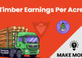 How Much Money Can You Get For Timber Per Acre?