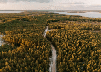 How I Prepared My Social Media for an Extended Medical Leave