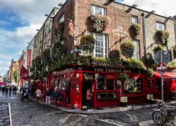 Pretrain a BERT Model from Scratch