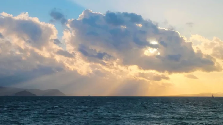 Watch our Year in Search 2025 film now.