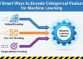 3 Smart Ways to Encode Categorical Features for Machine Learning