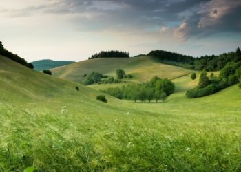 Expert Tips: Insights from our team on the future of Cleantech, B2B PR and Marketing