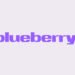 Blueberry by Studio NARI — BP&O