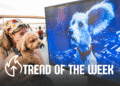 Experiential Marketing Trend of the Week: Dog-First Events