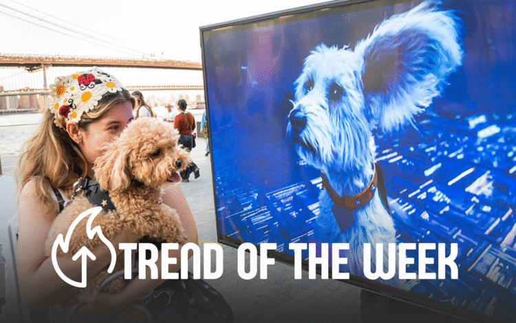 Experiential Marketing Trend of the Week: Dog-First Events