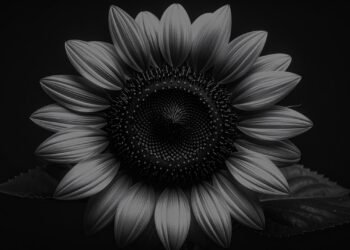 How to Build a Storytelling Platform for Your Fundraising Campaign