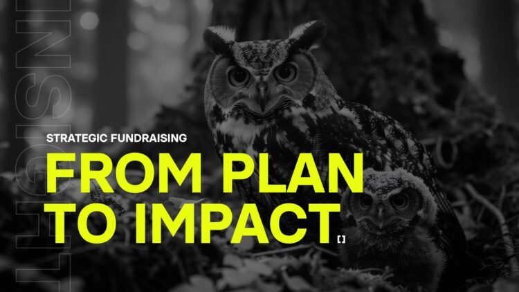 Monthly Themes to Guide Your Fundraising