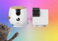 10 Best Pet Cameras (2026), Tested With Our Pets