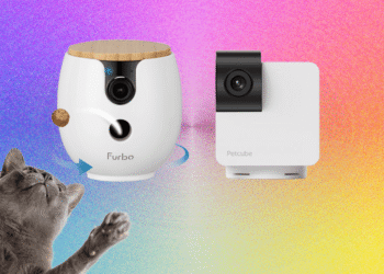 10 Best Pet Cameras (2026), Tested With Our Pets
