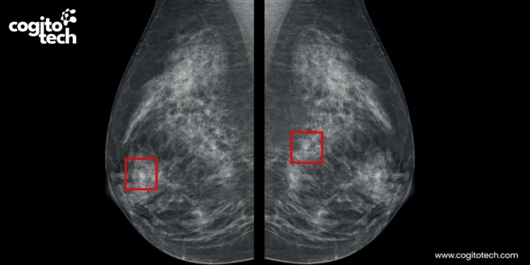 Surgical AI Data Annotation: Best Practices and Workflow