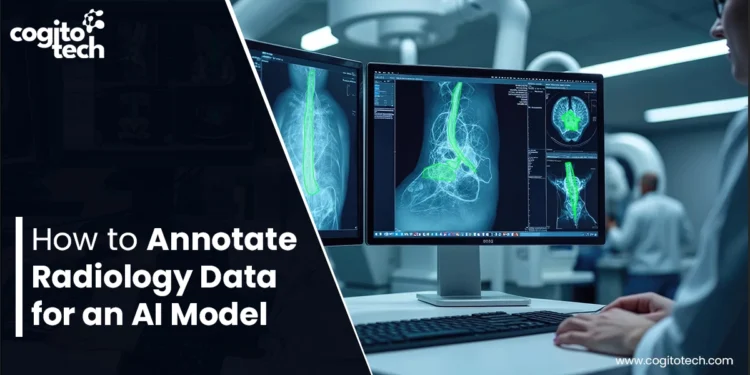 How to Annotate Radiology Data for AI Models