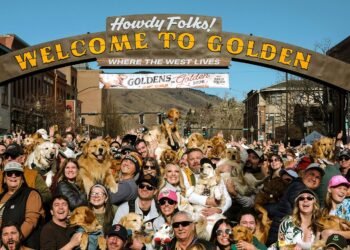 Hertz Unleashes ‘Gold Squad’ Dogs in Colorado