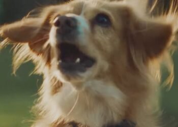 Rocket and Redfin Want to Turn Strangers Into Neighbors