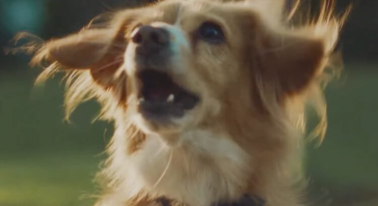 Rocket and Redfin Want to Turn Strangers Into Neighbors