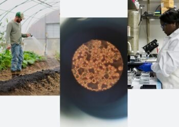 Google.org Impact Challenge: AI for Science