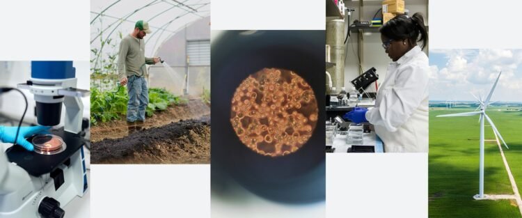 Google.org Impact Challenge: AI for Science